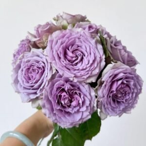 Coffret Rose