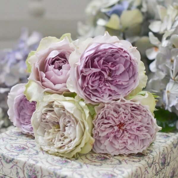Coffret Rose