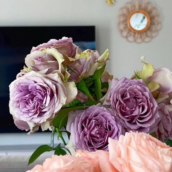 Coffret Rose