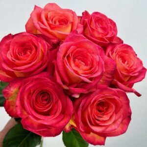 Fairy Tale World Rose