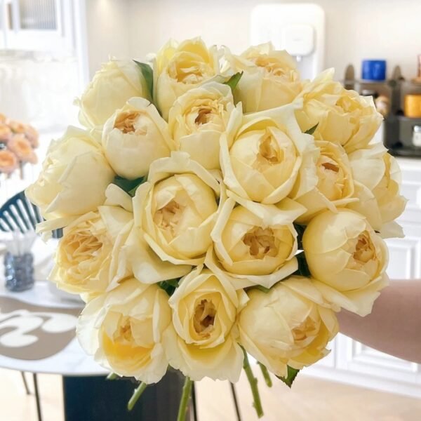 Golden Yves Piaget Rose