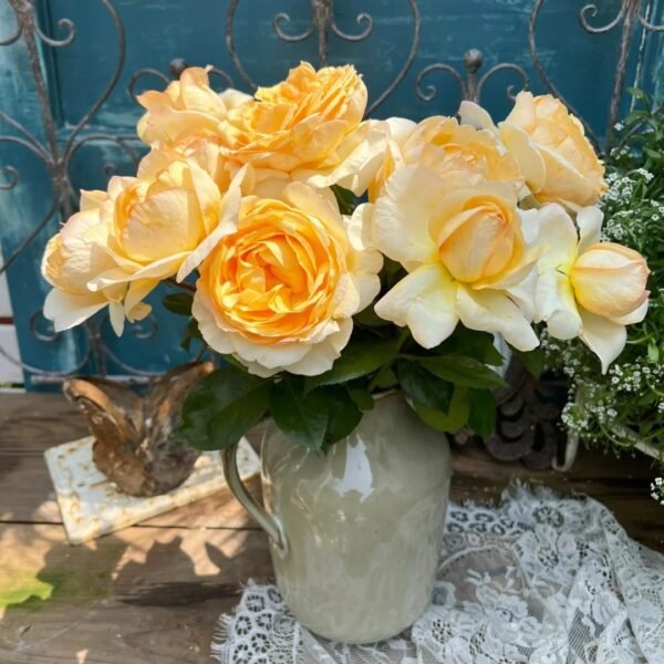 Golden Yves Piaget Rose