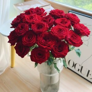 Mayra 's Rose