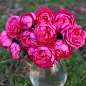 Rouge de Parfum Rose