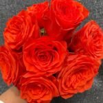 Wine Red Embroidery Rose