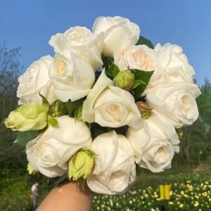 Yves Wedding Road Rose