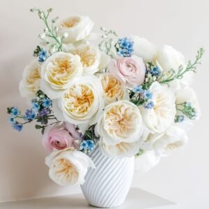 Bessie Rose Plant|贝茜 - 图片 9