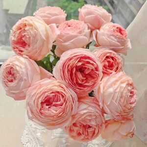 Confiture Rose