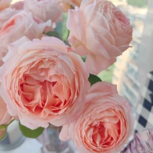 Confiture Rose