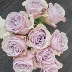 Cosette Rose