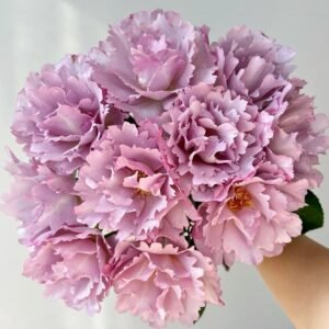 Couture Rose Tilia Rose