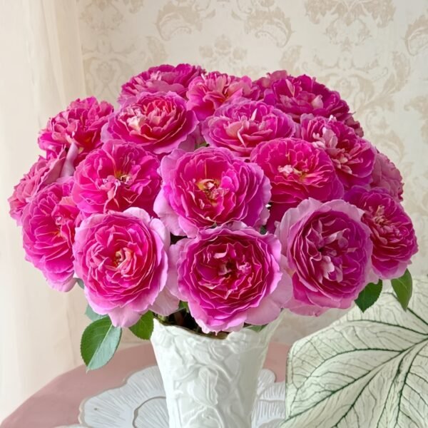 Esprit de Paris Rose