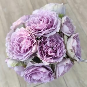 Lapis Veil Rose Plant | 青金石面纱 - 图片 10