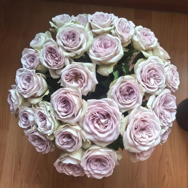 Notre Dame Rose