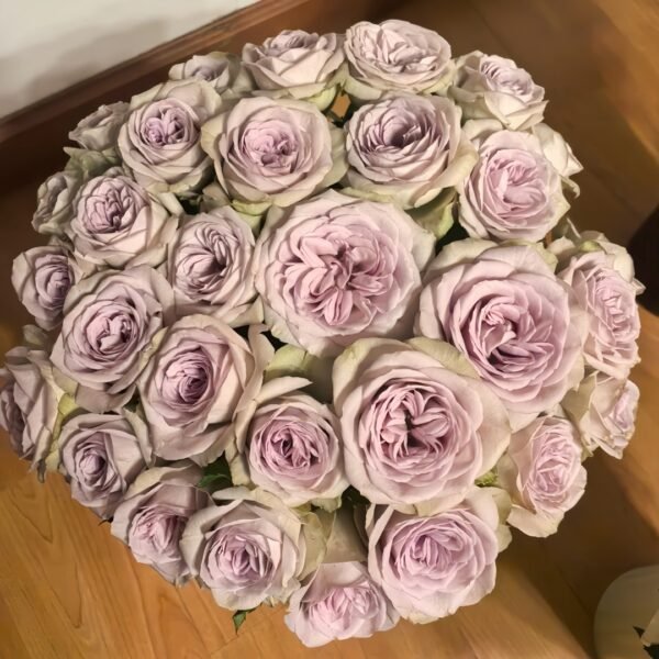 Notre Dame Rose