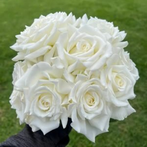 Pope John Paul II Rose