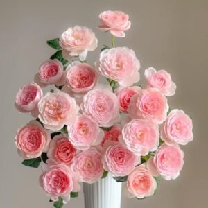 Queen of Sweden Rose