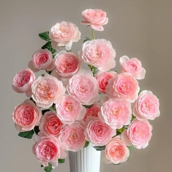 Queen of Sweden Rose