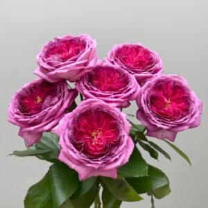 Thierry Marx Rose