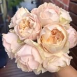 Unforgettable Rose