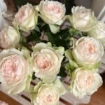 Victorian Bride Rose