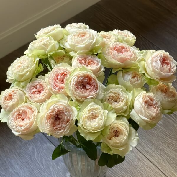 Victorian Bride Rose