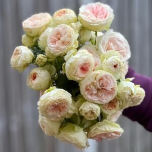 Wedding Piano Rose