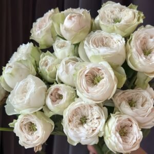 Whitby Abbey Rose