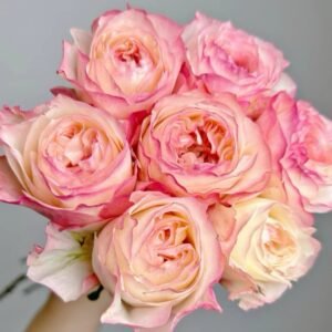 Xiaoliwo Rose