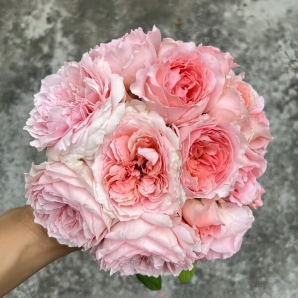 Anne-sophie Pic Rose