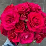 Belles Rives Rose