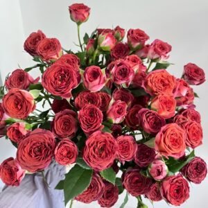 Chocolate Bubbles Rose