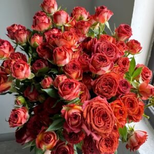 Chocolate Bubbles Rose