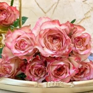Country Spirit House Rose