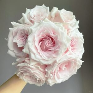 Dainty Parfum Rose