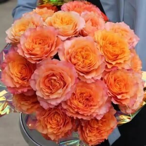 Free Spirit Rose