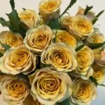 Golden Mustard Rose