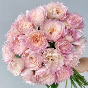 Jade Bowl Lace Rose