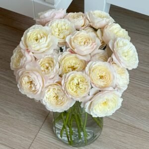 Jolie Fille Rose