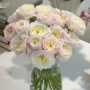 Jolie Fille Rose