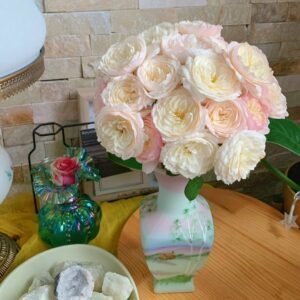 Jolie Fille Rose