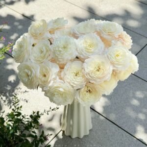 Jolie Fille Rose
