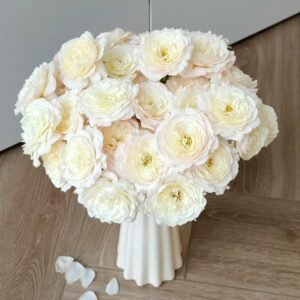 Jolie Fille Rose