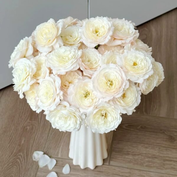 Jolie Fille Rose