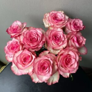 Medusa Rose