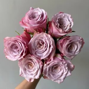 Moon Dust Rose