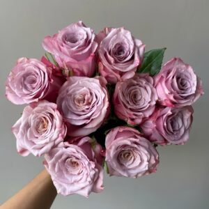 Moon Dust Rose