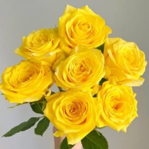 Moonwalk Rose