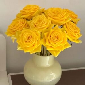 Moonwalk Rose