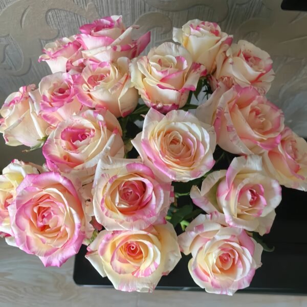 Nichang Rose